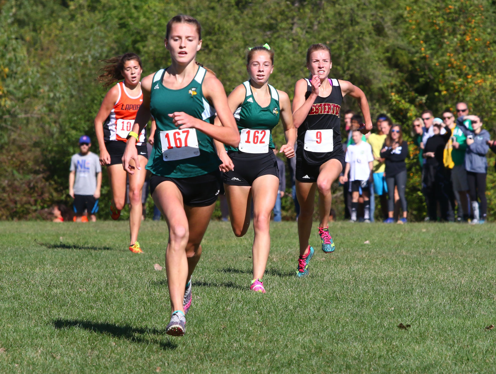 Gallery: Duneland Athletic Conference cross country meet